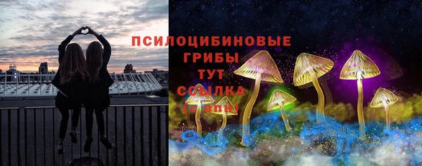 apvp Осинники