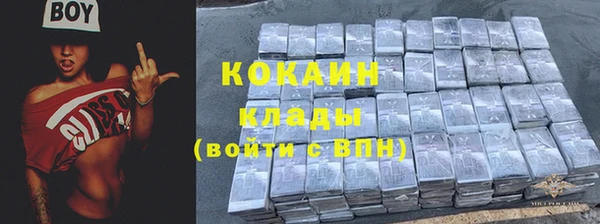 apvp Осинники