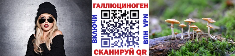 цены   Черногорск  Псилоцибиновые грибы MAGIC MUSHROOMS 