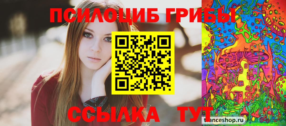 Черногорск  Псилоцибиновые грибы Magic Shrooms  как найти наркотики  Вход с VPN 