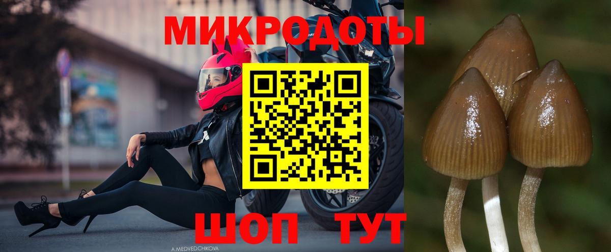 Галлюциногенные грибы мухоморы Черногорск